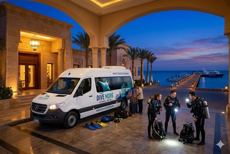 Susanna Wrack Nachttauchgang - Sahl Hasheesh