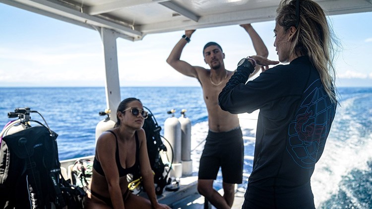 intro diving