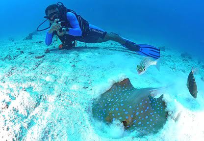 Red Sea Diving