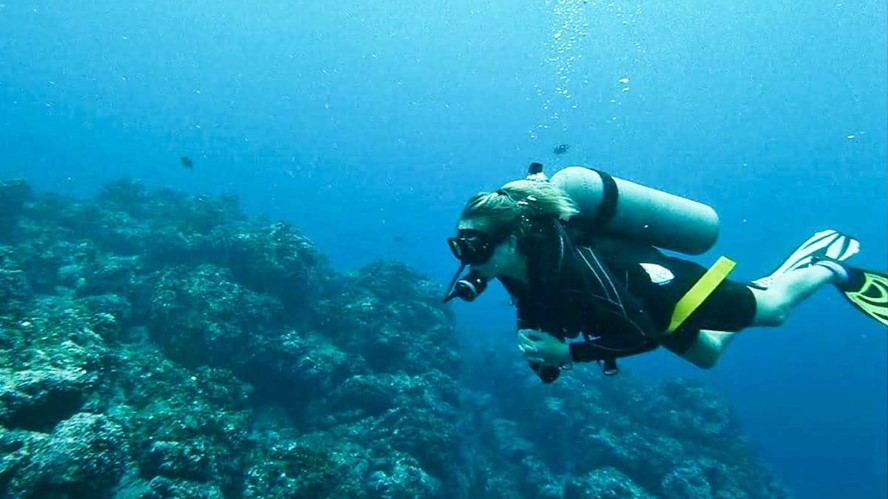 intro diving