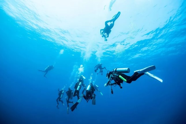 PADI Open Water Referral 